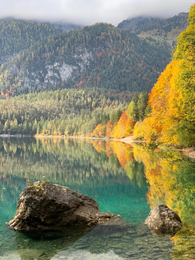Appartamento Da Romina Con Parcheggio Gratuito Sanzeno Exteriör bild